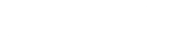 Pins Patches and Things